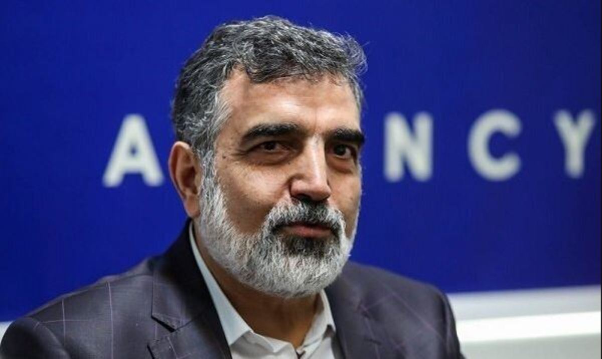 واکنش سخنگوی سازمان انرژی اتمی به خبر «افزایش میزان غنی‌سازی اورانیوم در ایران»