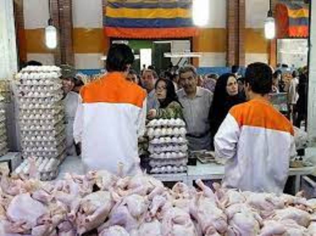 جای خالی نظارت در بازار تخم‌مرغ از دلایل افزایش غیرمنطقی قیمت در برخی فروشگاه‌ها