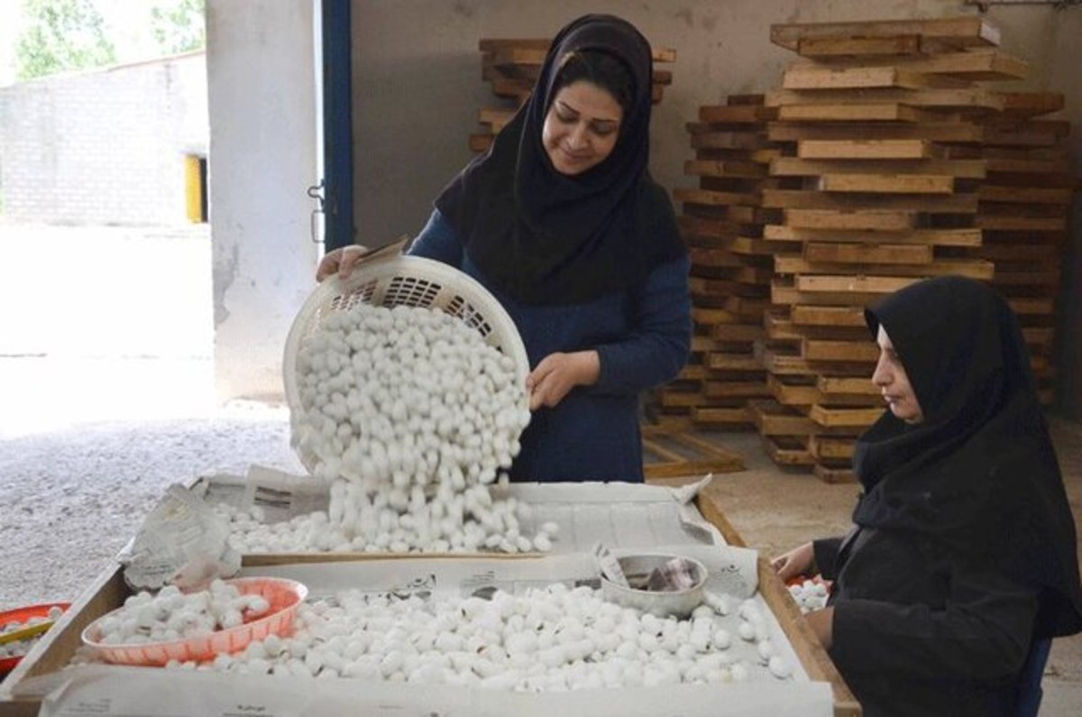 تشکیل کارگروه پیگیری مطالبات زنان کارگر در وزارت کار