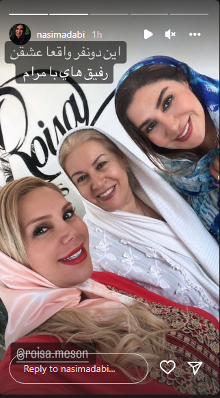 نسیم ادبی در کنار رفقای لاکچری اش نسیم ادبی در کنار رفقای لاکچری اش