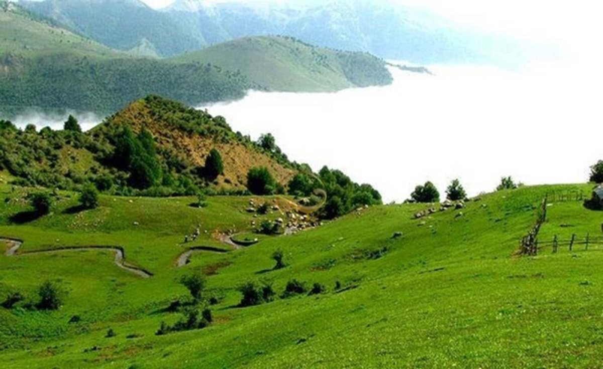 دستگیری ۲۲ نفر و  کشف ۱۴ دستگاه خودرو از عاملان تبلیغ فرقه‌های نوظهور و منحط غربی