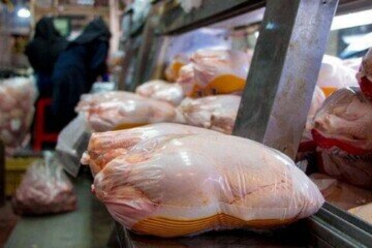 مرغ به قیمت مصوب رسید