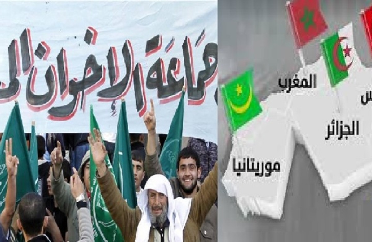 وداع اخوان‌المسلمین با سیاست؛ دلایل و ریشه‌ها