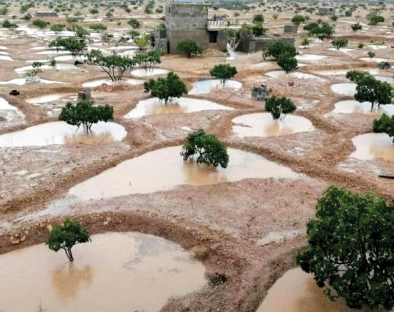 معماری هدفمند برای تبدیل تهدید سیل به فرصت