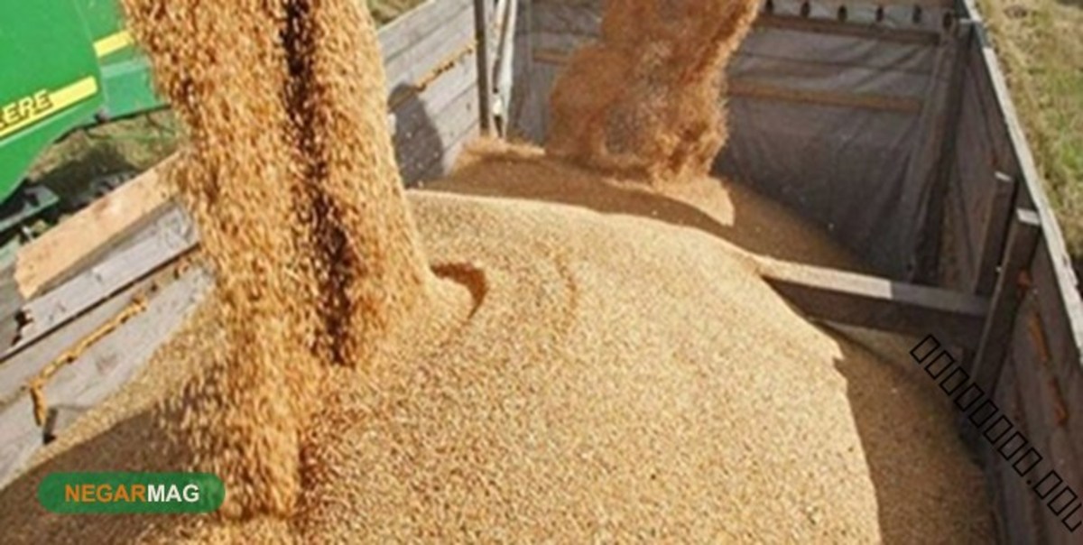 توافق روسیه و اوکراین فعلا نتوانسته قیمت کالای اساسی را کاهش دهد
