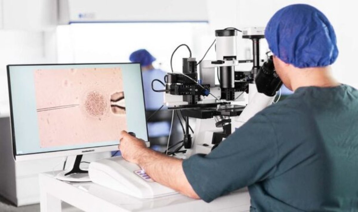 ترفند‌های برترین دانشگاه‌های دنیا برای جذب دانشمند‌های آینده/ دلیل علاقه دانشجویان «علوم پایه» به دانشگاه‌های این ۵ کشور؟