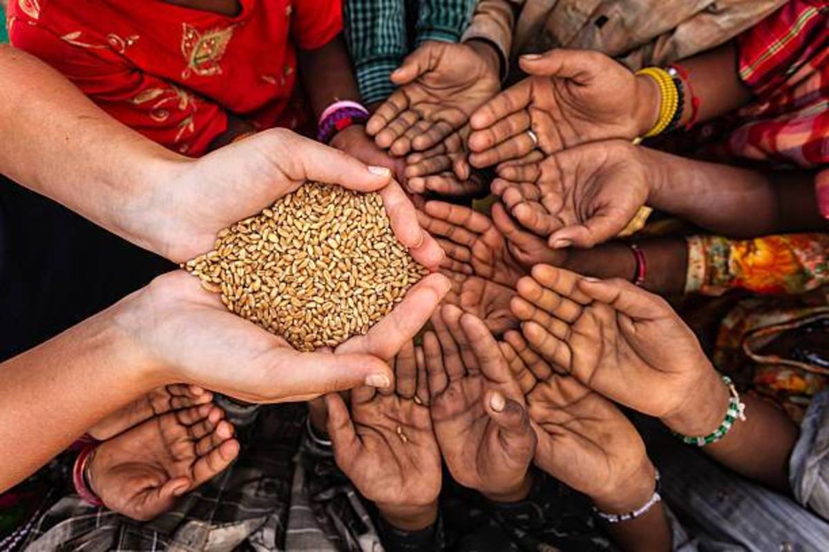 آغازی برای حل بحران غذایی در جهان؟