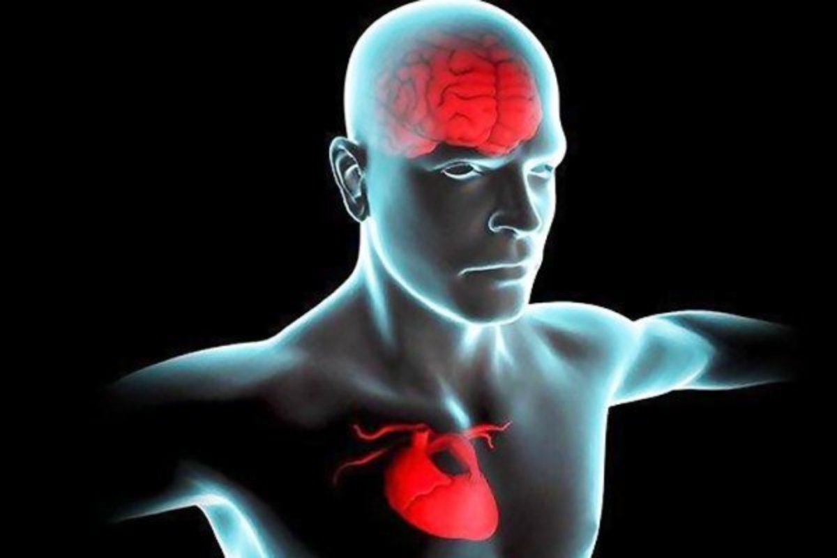 افزایش خطر زوال عقل در اثر ناهنجاری دهلیز فوقانی قلب