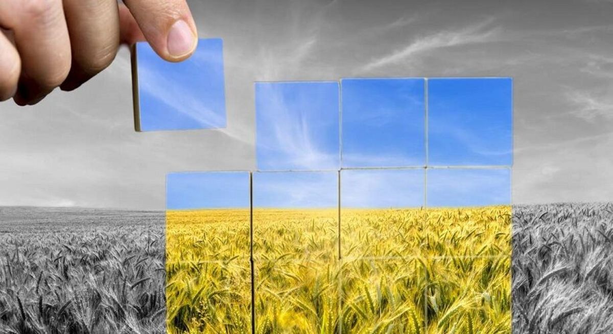 نظام سرمایه‌داری عامل اصلی بروز بحران غذا در جهان است