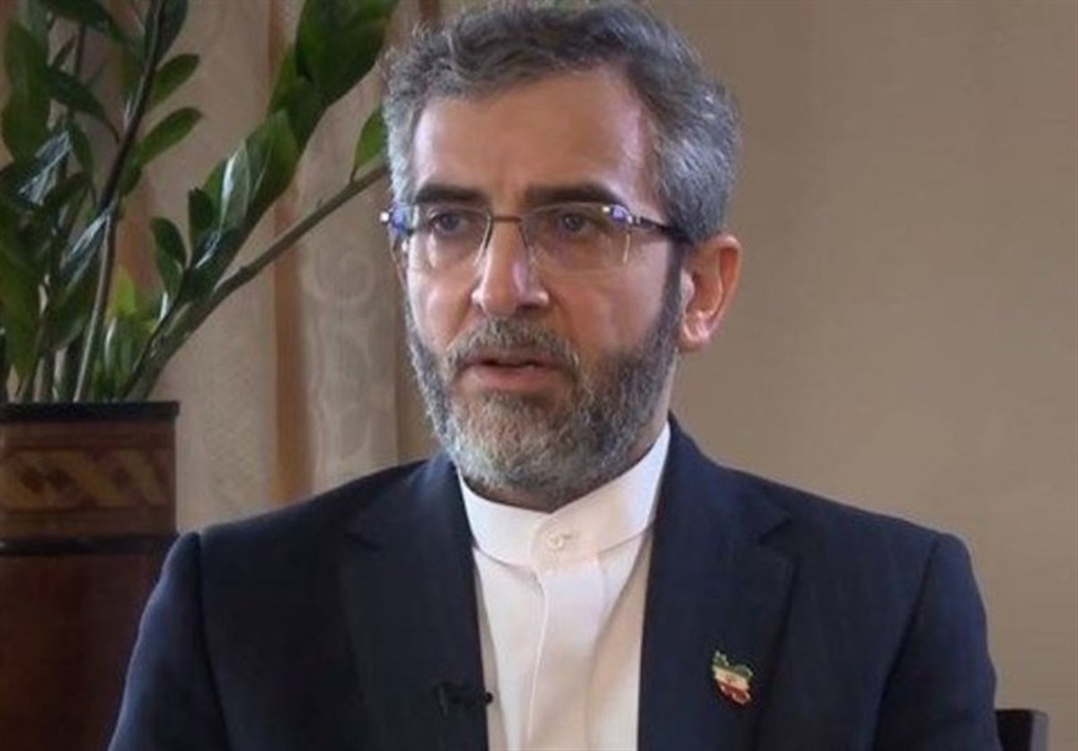 باقری:الگوی برنامه‌های بلندمدت در روابط دوجانبه خنثی‌سازی تحریم‌ها را معنا می‌بخشد