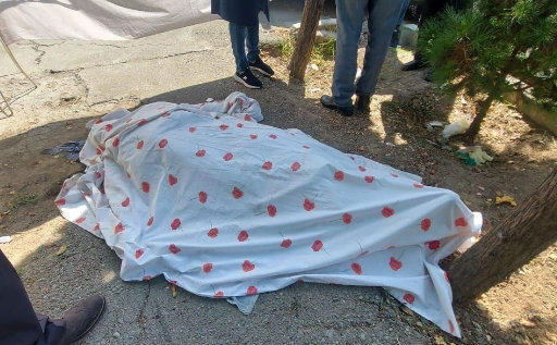 جزئیات قتل رئیس اسبق سازمان پزشکی قانونی در سعادت‌آباد
