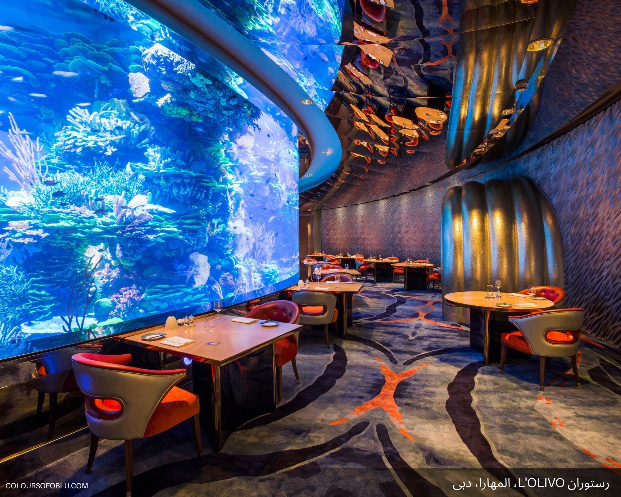 این ۸ رستوران زیر آب در جهان را حتما تجربه کنید