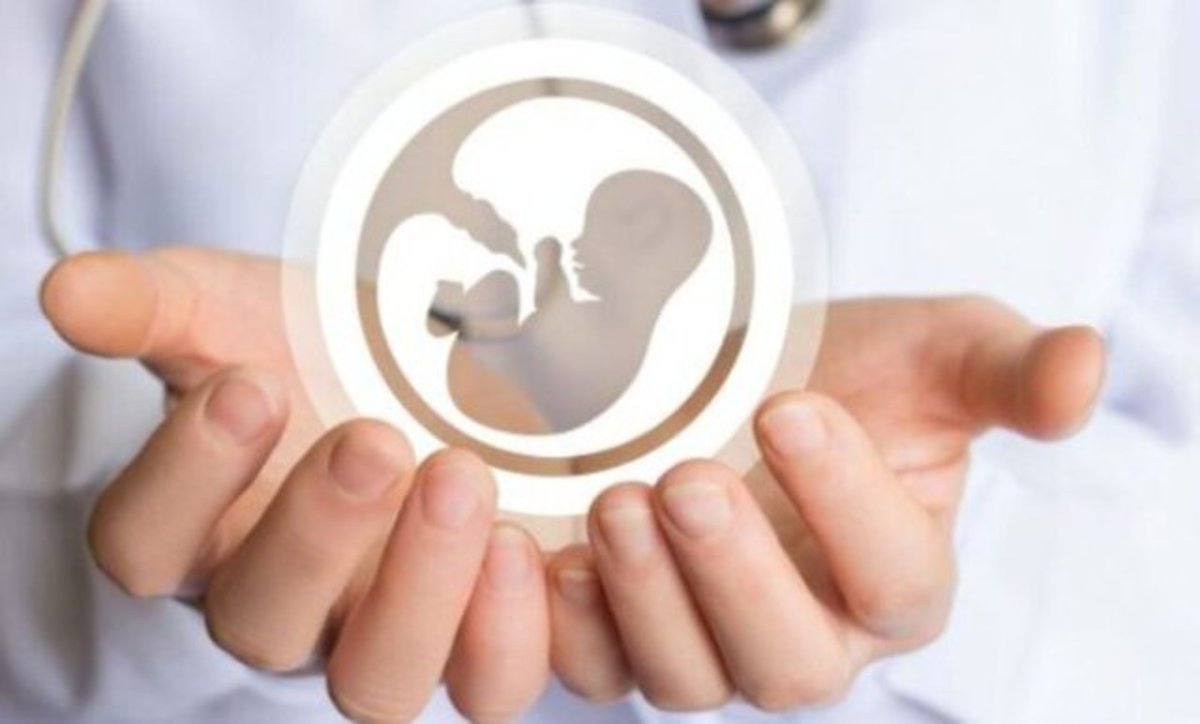 زوجین نابارور برای جلوگیری از پرداخت آزاد هزینه‌ها، 