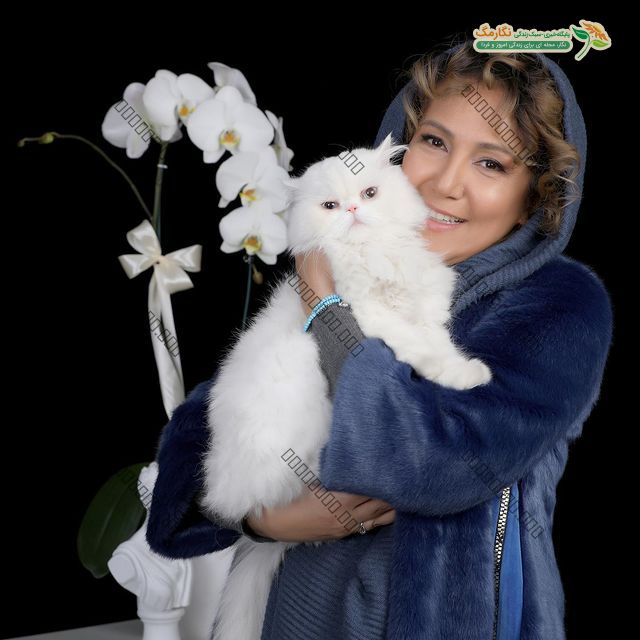 جاودانگی تان مبارک آقای معروفی! جاودانگی تان مبارک آقای معروفی!