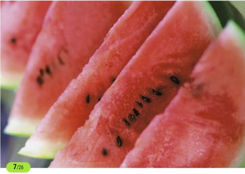 غذا‌های ضد چربی برای کاهش وزن