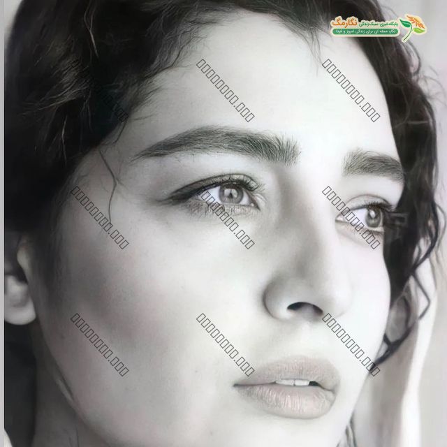 تولدت مبارک عشقم! تولدت مبارک عشقم!