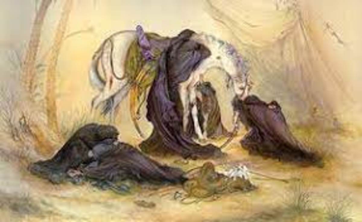 واقعه کربلا شوریدن علیه پستی‌ها بود