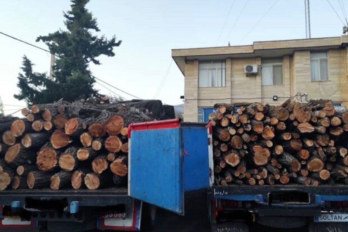 کشف و ضبط ۲۰ تن چوب قاچاق در طارم