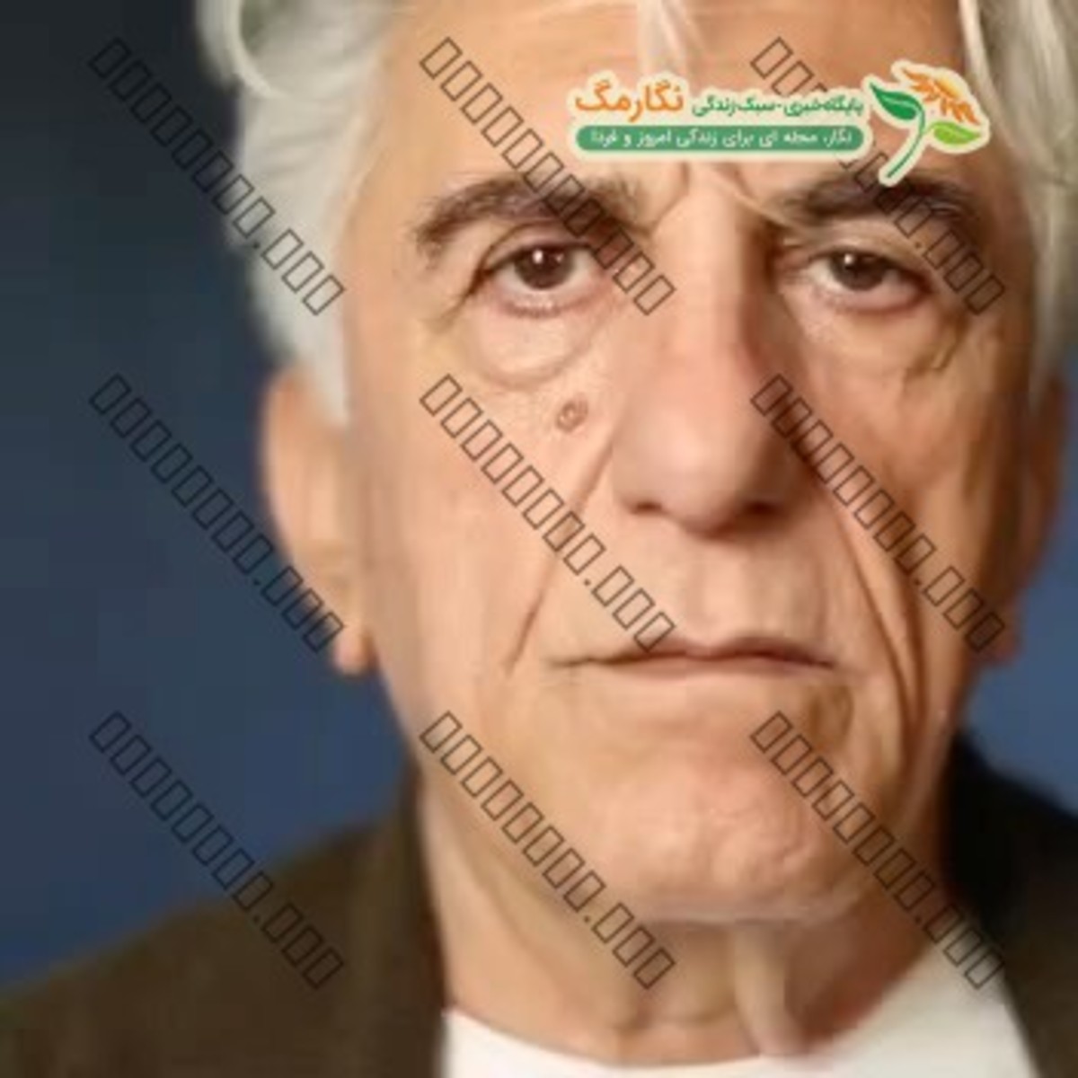 به موقع نیومدی تهران ! به موقع نیومدی تهران !