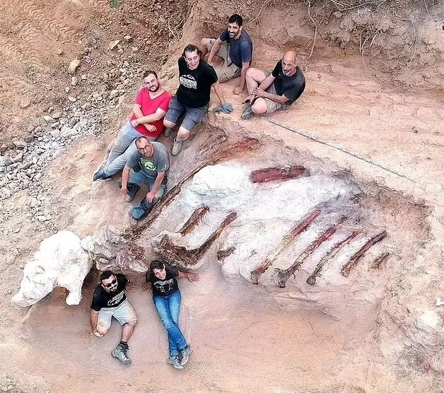کشف فسیل بزرگترین دایناسور خزنده‌پای اروپا در حیاط خلوت