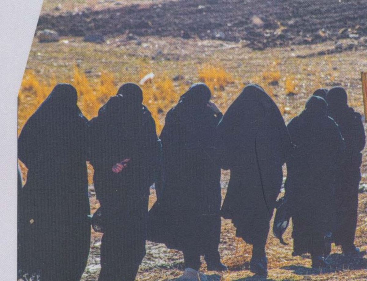 شیارِ رکیک زخم بر پوستِ کشیده بر نفت