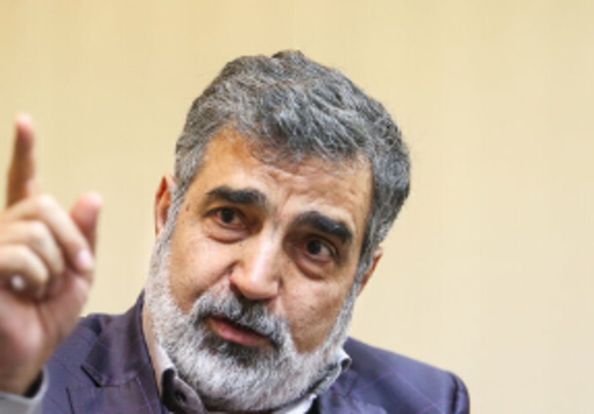 کمالوندی: خواسته‌های آژانس از ایران، زیاده‌خواهانه است