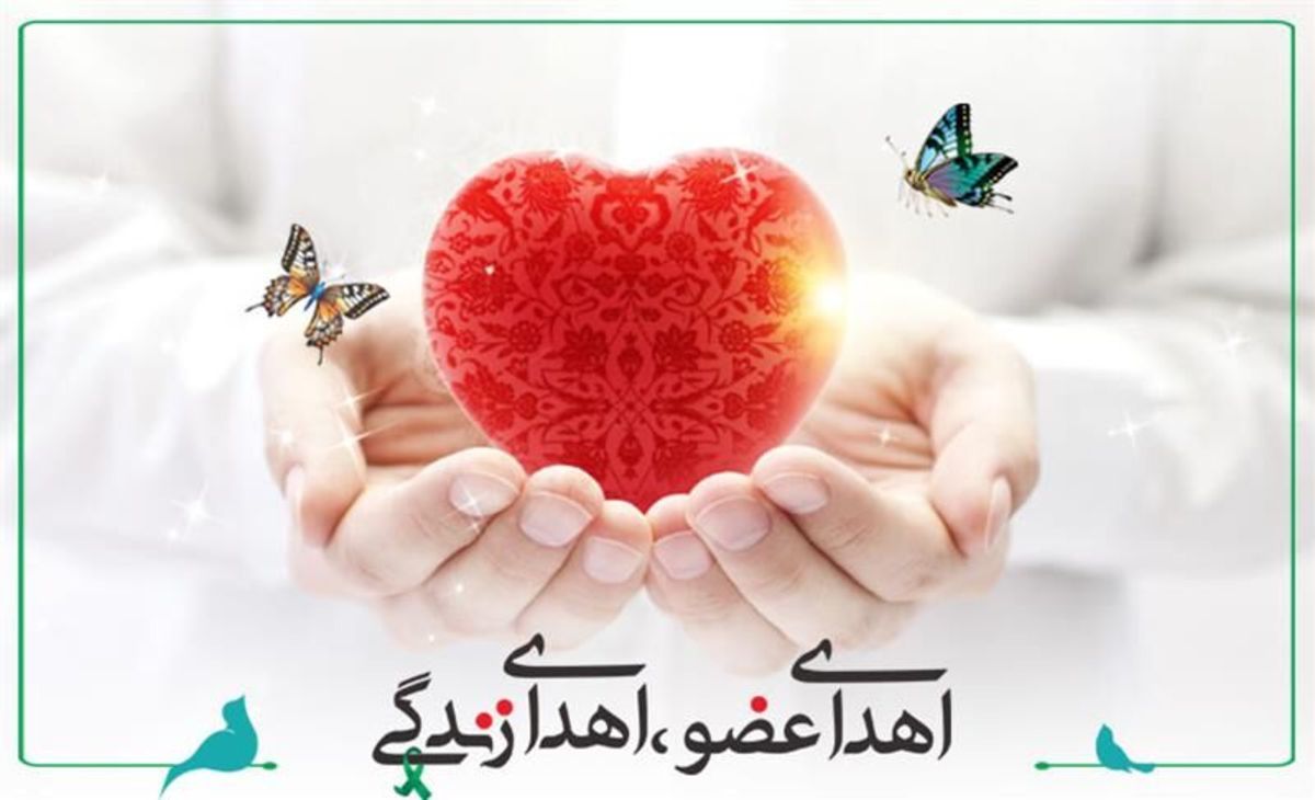 نجات جان ۲ نفر با پیوند اعضا بیمار مرگ مغزی گیلانی