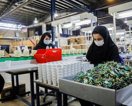 اجرای طرح ملی کسب و کار پایدار در ۱۵ استان کشور/ مهمترین مشکل بانوان اشتغال است