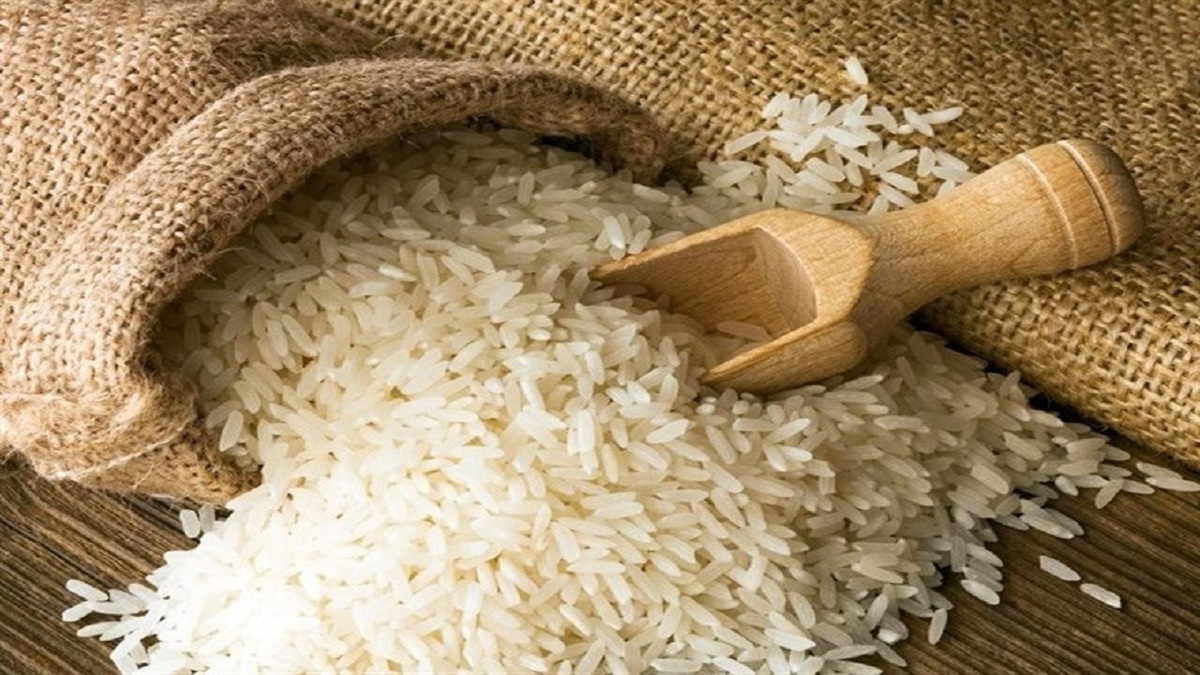 کی به خودکفایی برنج می‌رسیم؟