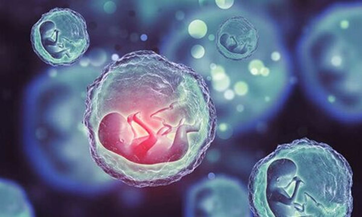 فریز تخمک بانوان به چه روشی انجام میشود؟
