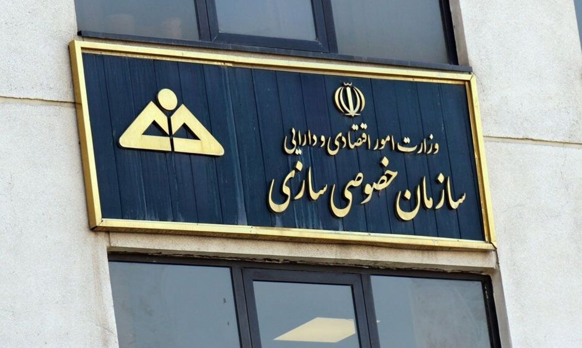 لزوم اصلاح در قواعد واگذاری شرکت‌های دولتی/ خصوصی سازی برخی شرکت‌ها به صورت عادلانه نبود