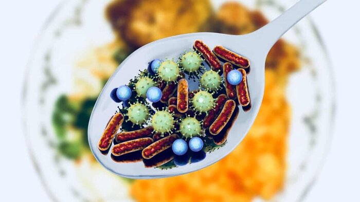 برای جلوگیری از فاسد شدن زودهنگام غذا‌ها چه کار‌هایی باید انجام دهیم؟