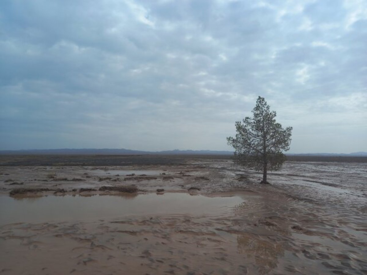 سیل و رانش زمین در سری‌لانکا ۳ کشته برجا گذاشت