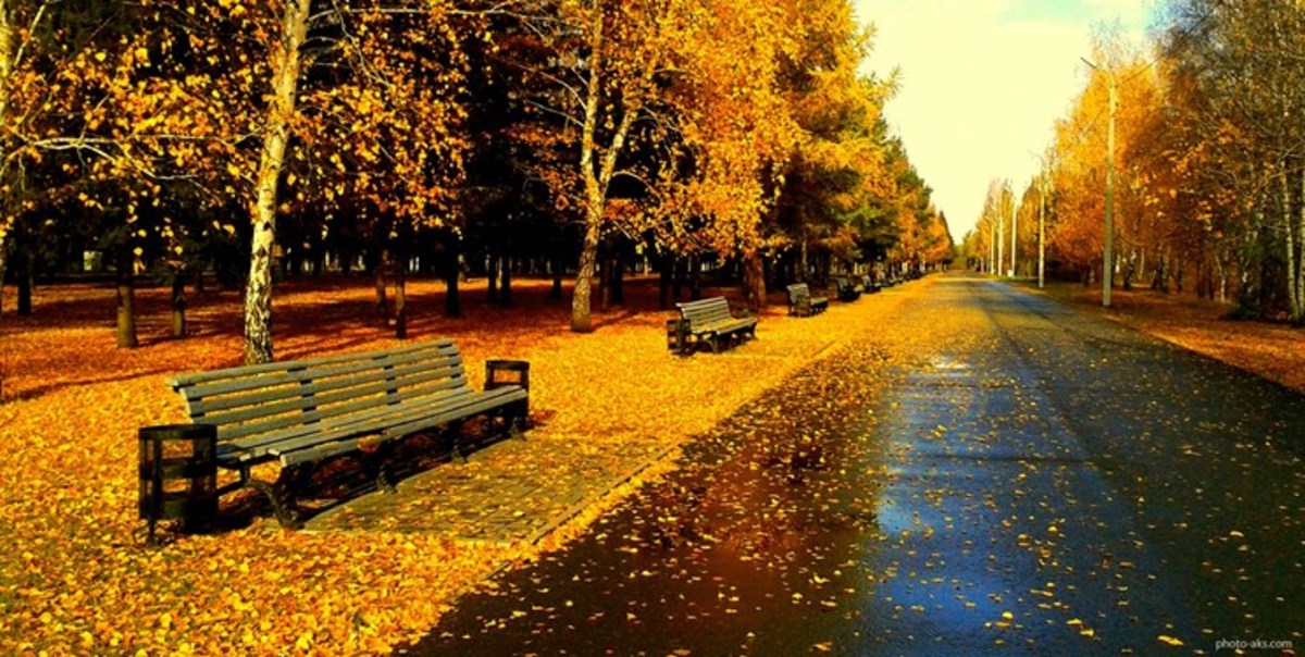 جزئیات بار‌ش‌های کشور در روز‌های آینده/ سرما در سواحل خزر و برخی شهر‌ها