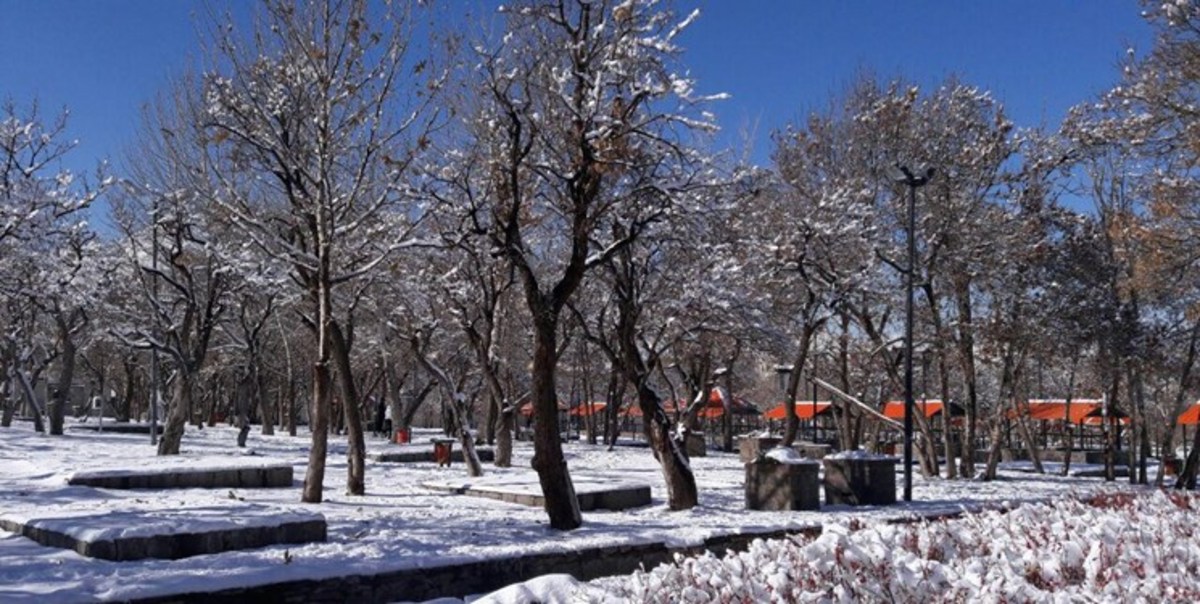 پیش بینی وزش باد و گردوخاک در شرق و شمال شرق کشور طی چند روز آینده