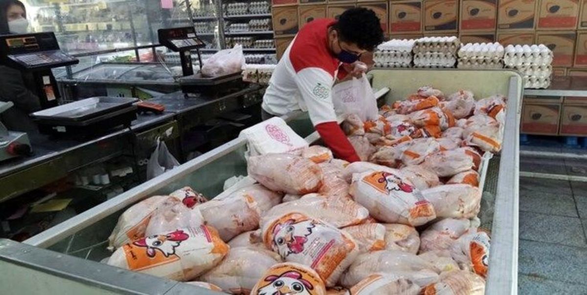 توزیع مرغ در میادین و فروشگاه‌های اینترنتی برای کاهش قیمت