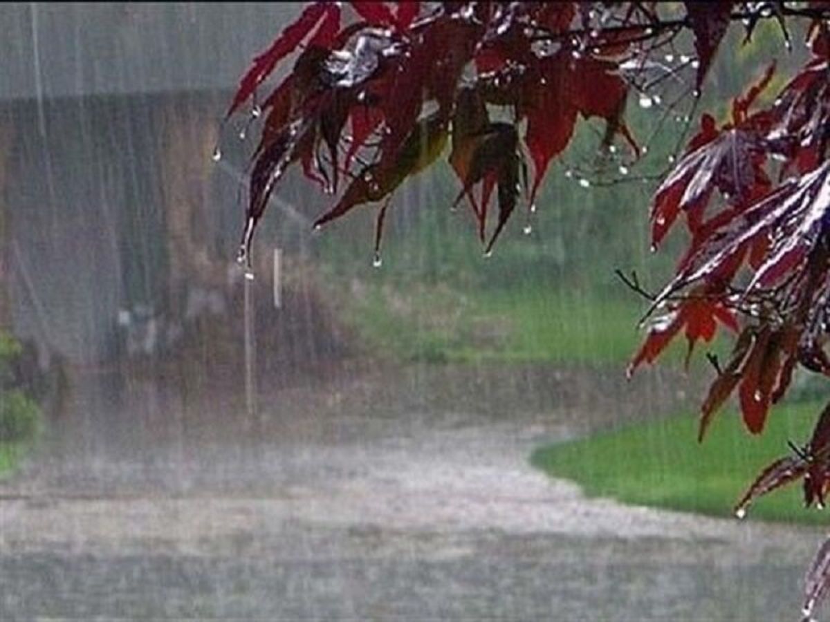 بارش باران در جاده‌های ۵ استان کشور