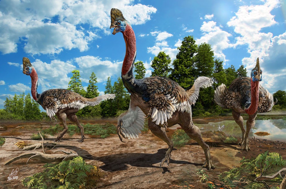 شناسایی گونه جدیدی از دایناسور بوقلمونی که ۱۱ میلیون سال پیش زندگی می‌کرد