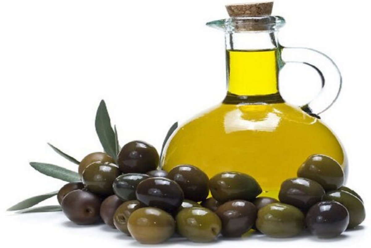 افزایش تولید روغن زیتون در گیلان
