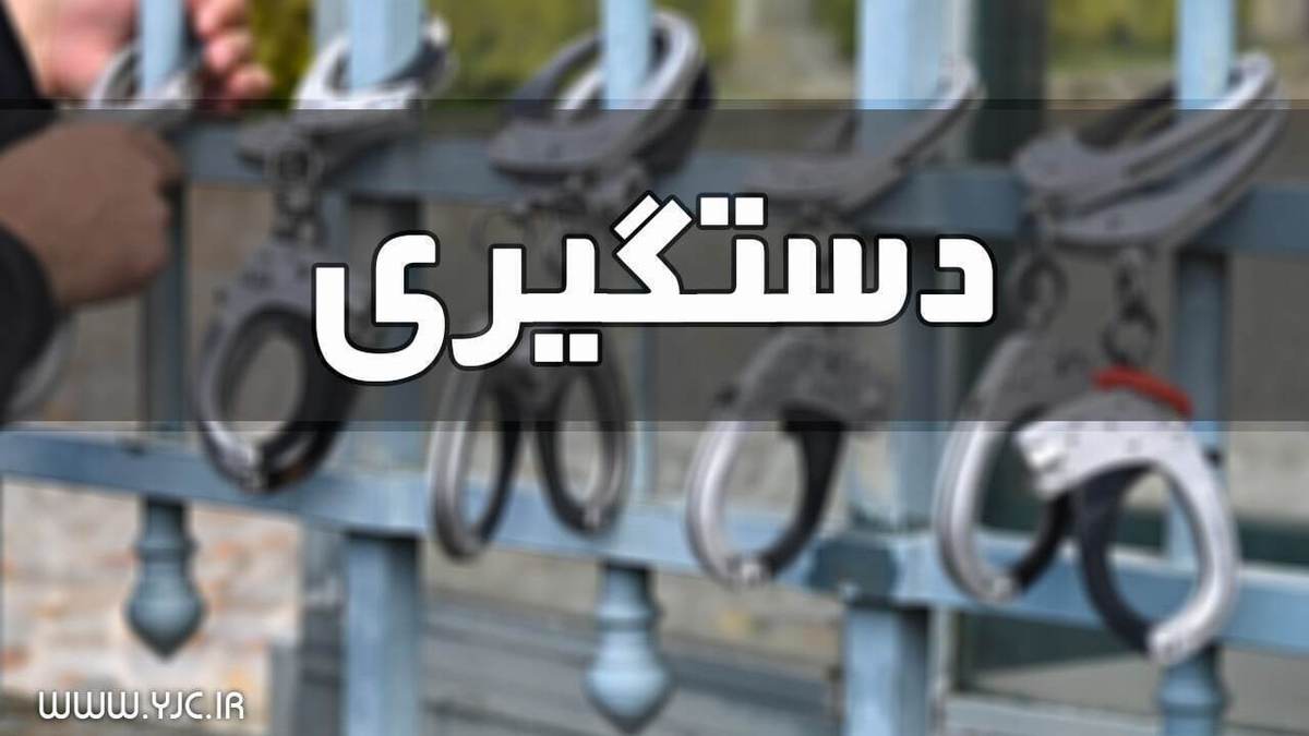 سارق تلفن همراه به دام پلیس افتاد