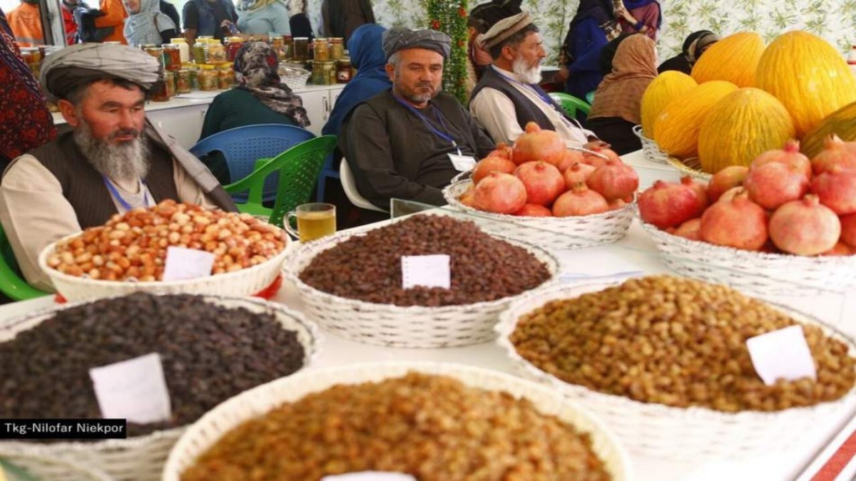 محصولات افغانستان در نمایشگاه هند به نمایش در آمد