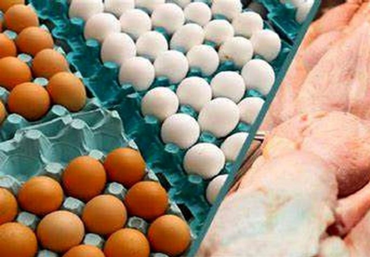 مرغ و تخم مرغ ایران در راه کویت