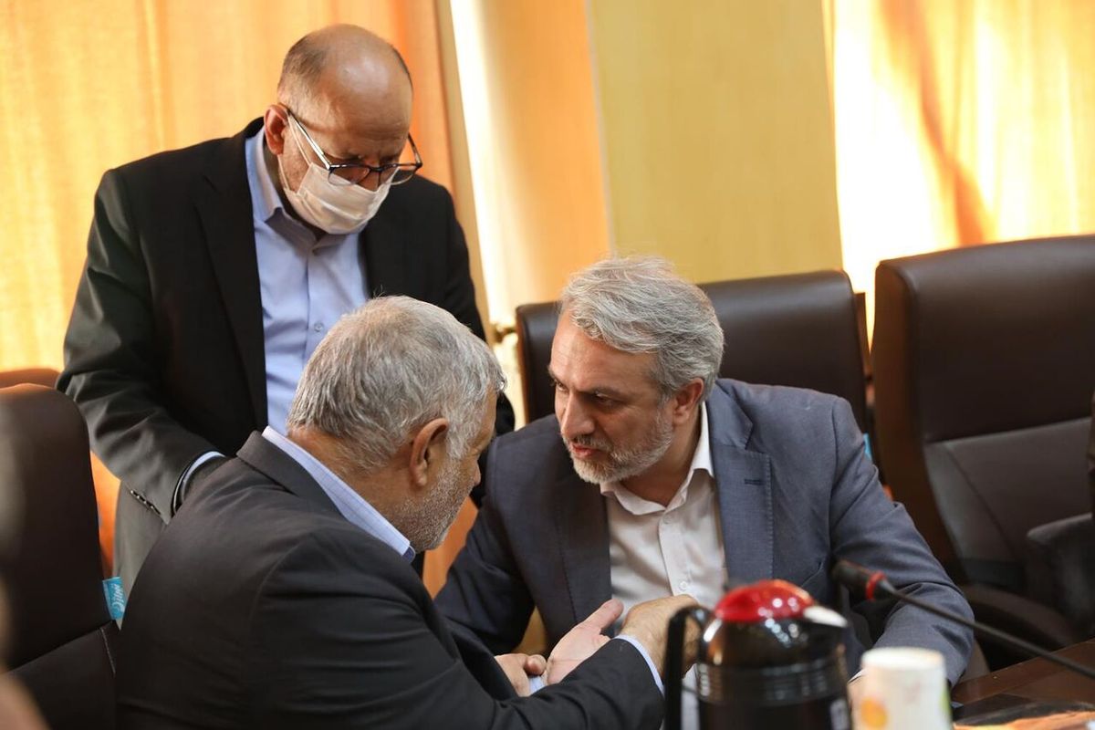 فاطمی‌امین گام‌های مهمی برای ساماندهی صنعت خودرو برداشت/ استیضاح به صلاح کشور نیست
