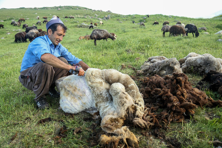 سقف تسهیلات اشتغال‌زایی مددجویان به ۱۵۰ میلیون تومان افزایش یافت