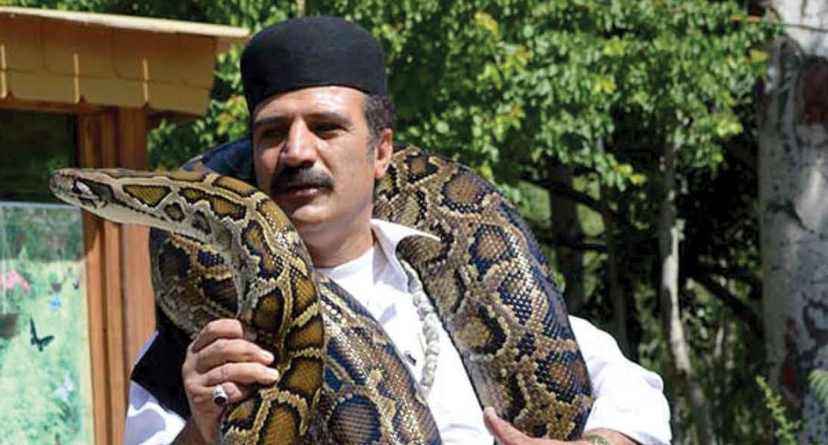 سلطان مار‌ها و ملکه مارها؛ رکوردار «زندگی با مار»