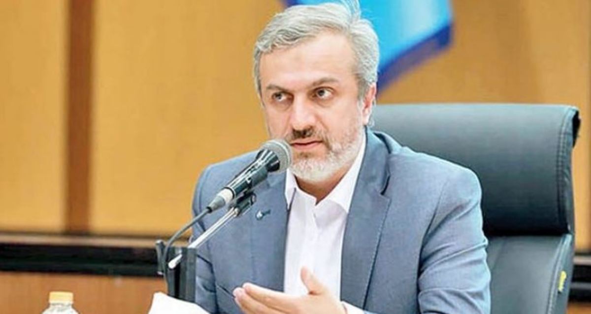 در نشست نمایندگان مجلس با فاطمی‌امین چه گذشت؟