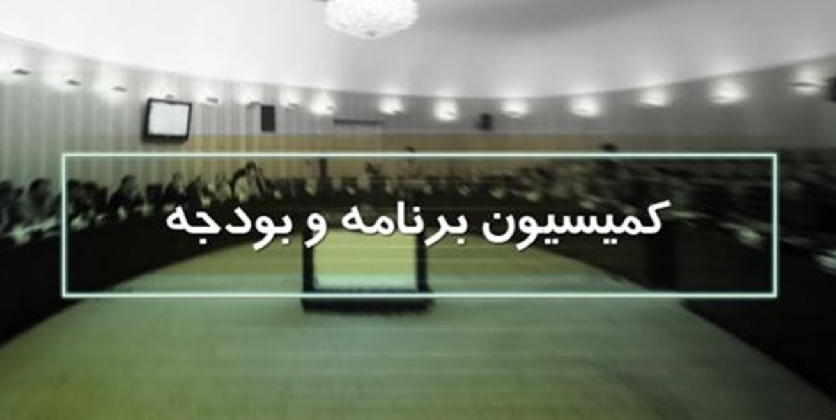 جزئیاتی از نشست کمیسیون برنامه و بودجه مجلس/ شرکت‌های عمومی غیردولتی مکلف به ایجاد حساب نزد خزانه‌داری کل شدند