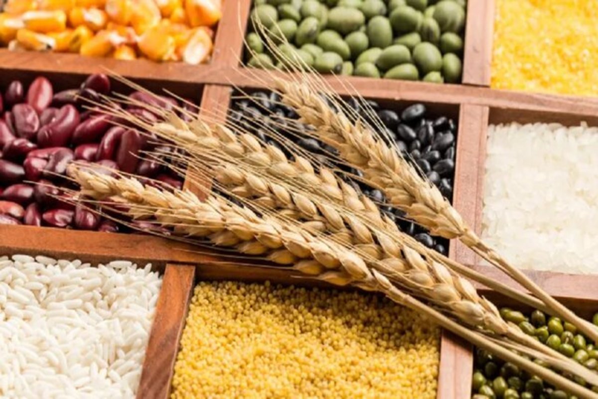در شرایط تغییرات اقلیمی، غلات اصلی را چگونه تولید کنیم؟