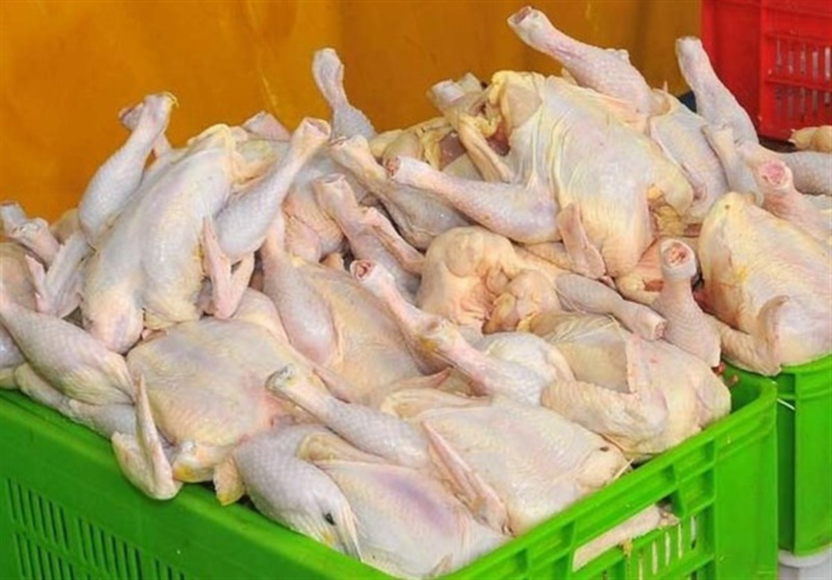عرضه و تقاضای مرغ متعادل شد