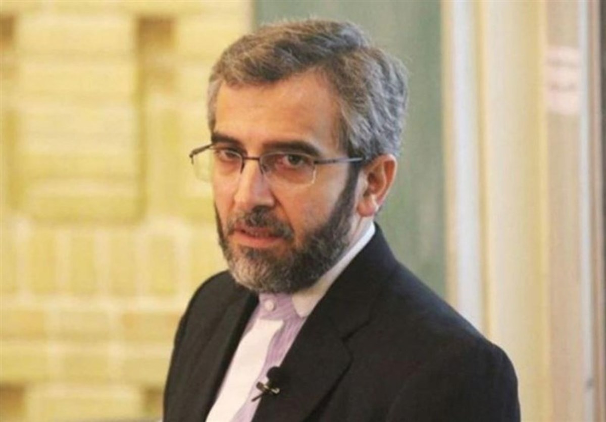 علی باقری: همکاری ایران و هند چندجانبه‌گرایی در نظام بین‌الملل را تحکیم می‌بخشد